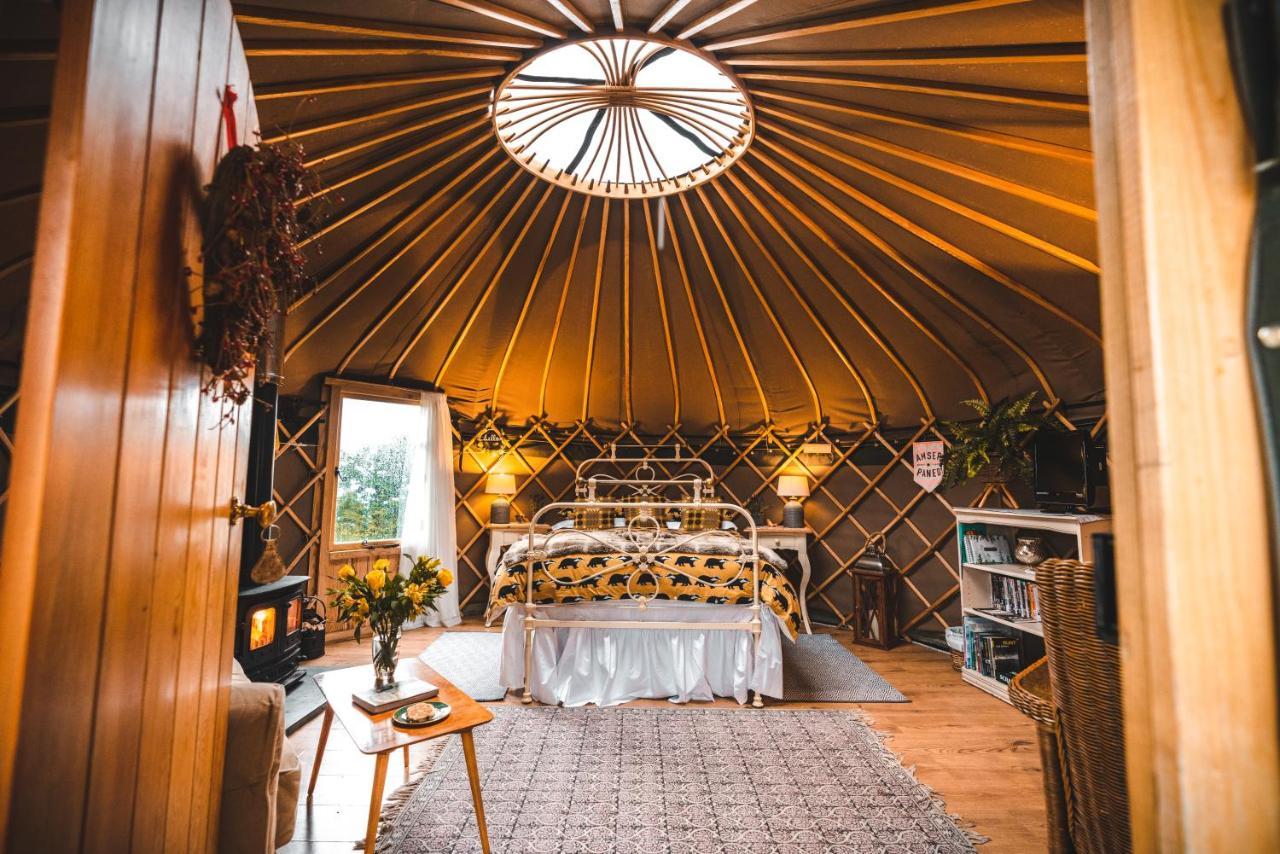 Luxury tent Sunbank Yurt Llangollen